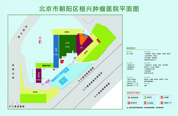 大鸡巴干逼网北京市朝阳区桓兴肿瘤医院平面图